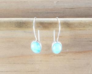 Amazonite Latch Back Earrings