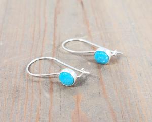 Kidney wire closed hook earrings