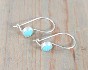 closed locking hook earrings