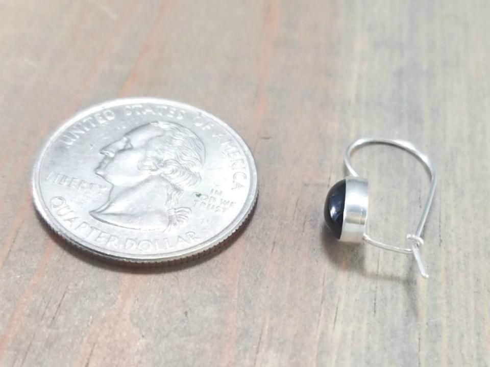 Small Locking Earrings