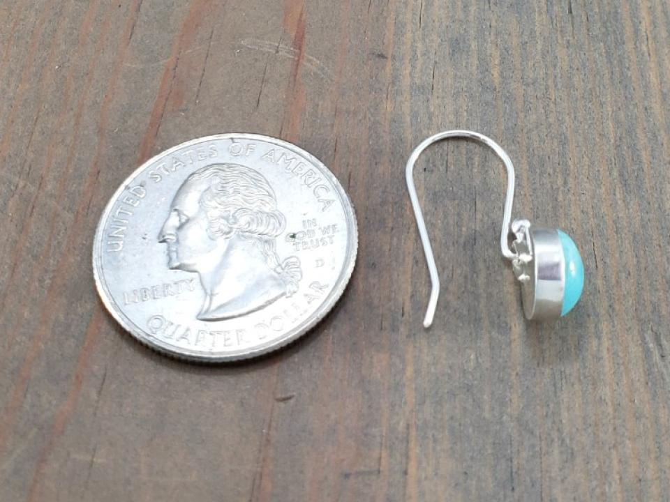 Small silver dangle earrings