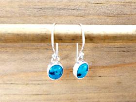 Small Turquoise Dangles